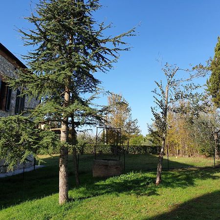 Podere Il Poggio Asciano Buitenkant foto