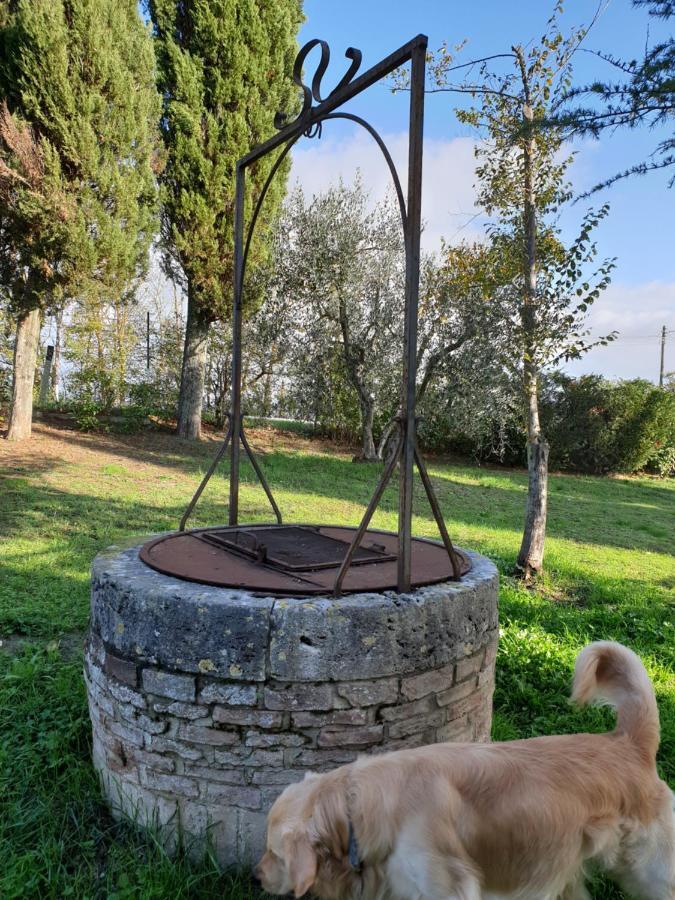 Podere Il Poggio Asciano Buitenkant foto