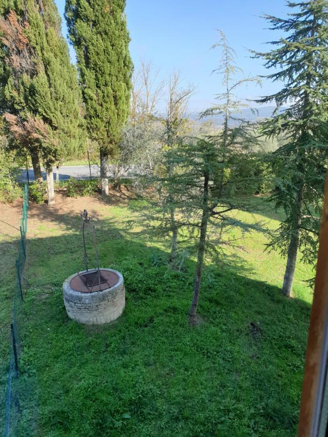 Podere Il Poggio Asciano Buitenkant foto