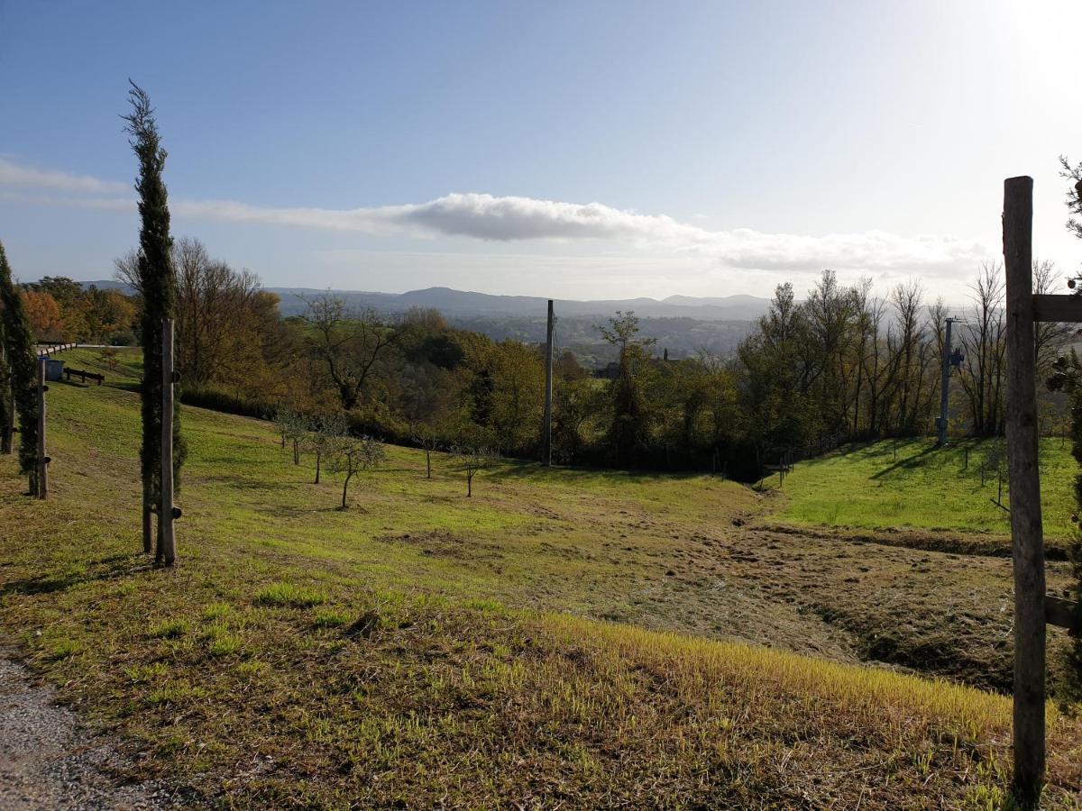 Podere Il Poggio Asciano Buitenkant foto